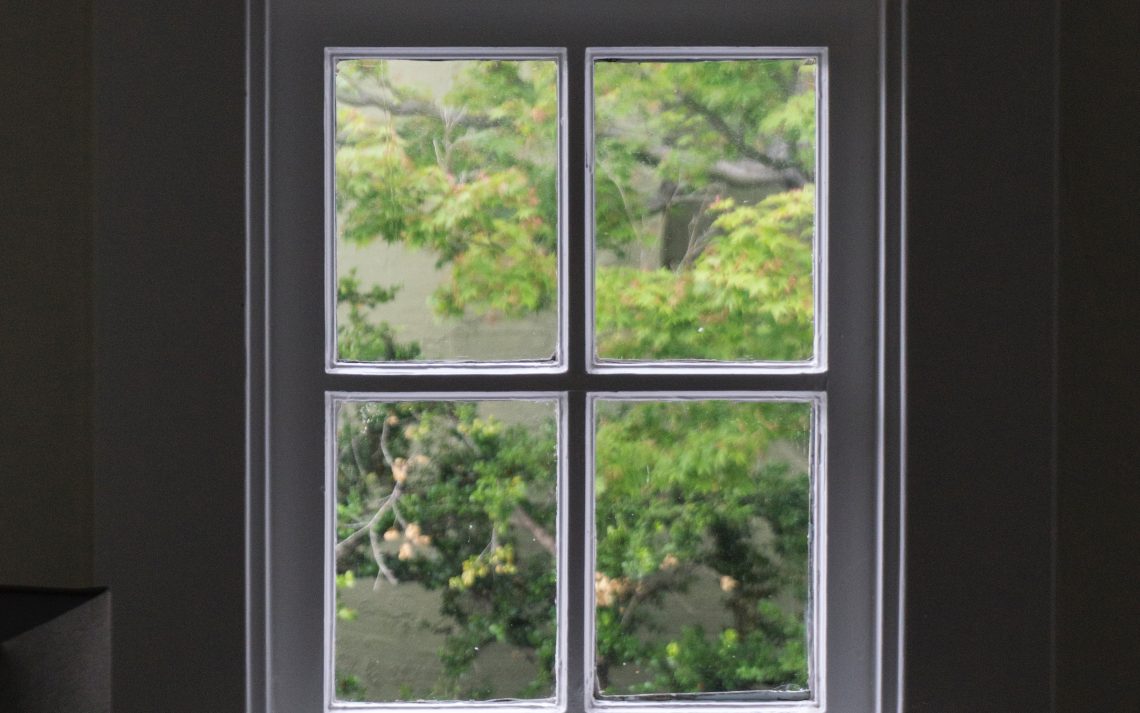 A window with a white frame in a dark room that looks out on lush green plants.