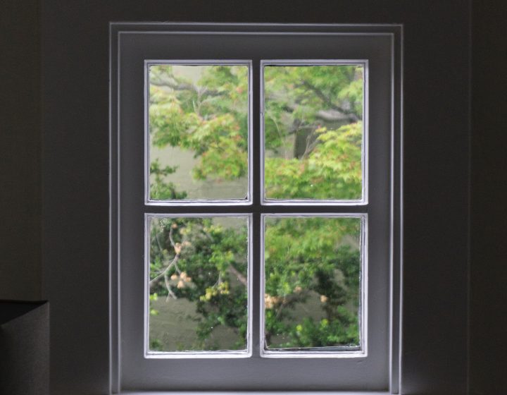 A window with a white frame in a dark room that looks out on lush green plants.