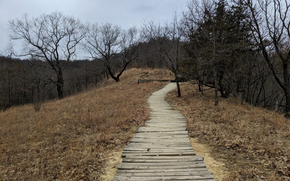 Brown wooden pathway under an overcast sky in a slightly barren season with brown grass and leafless trees.